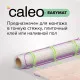 Нагревательный мат CALEO EASYMAT 140 Вт/м2 3,0 м2